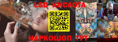 прущие грибы Обнинск