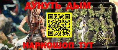прущие грибы Обнинск